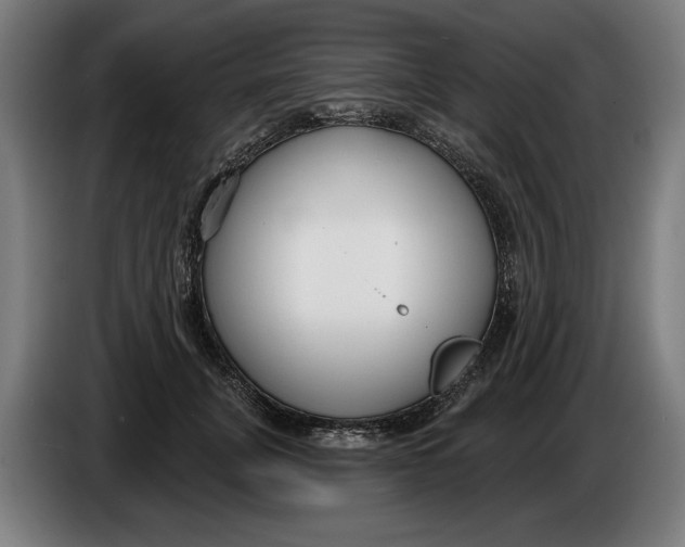 X0000086250751200704191842