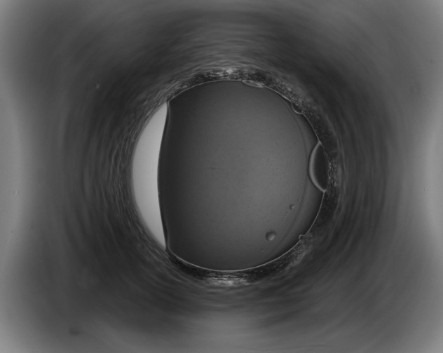 X0000086250754200704191842