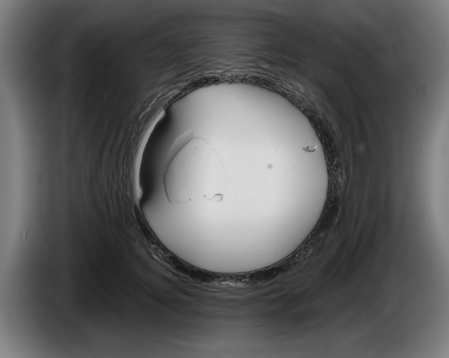 X0000086250756200704191842