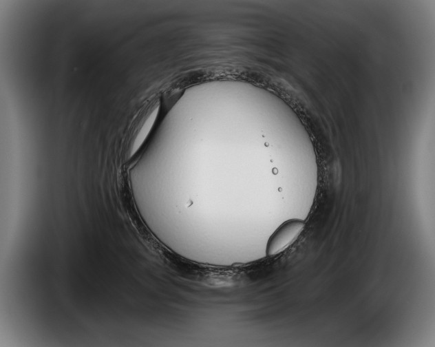 X0000086250757200704191842