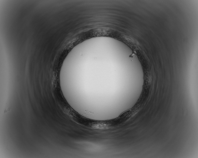 X0000086250759200704191842