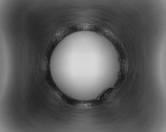 X0000086250760200704191842