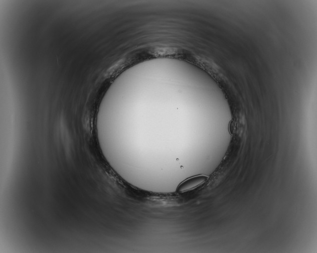 X0000086250763200704191842