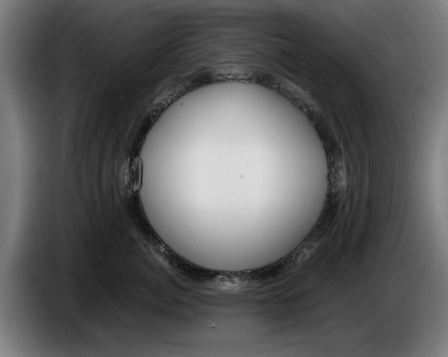X0000086250764200704191842