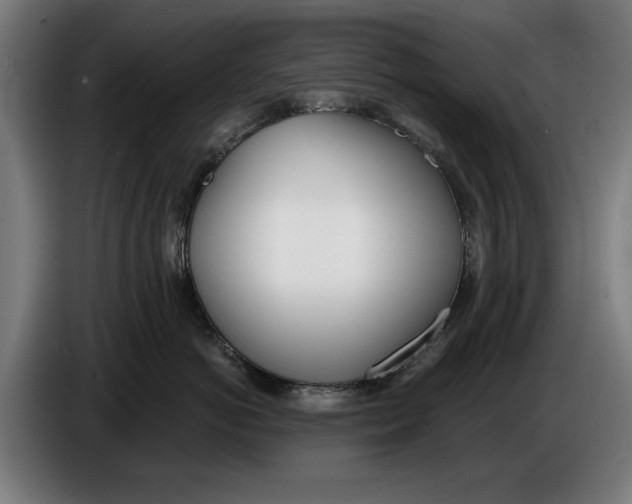 X0000086250766200704191842