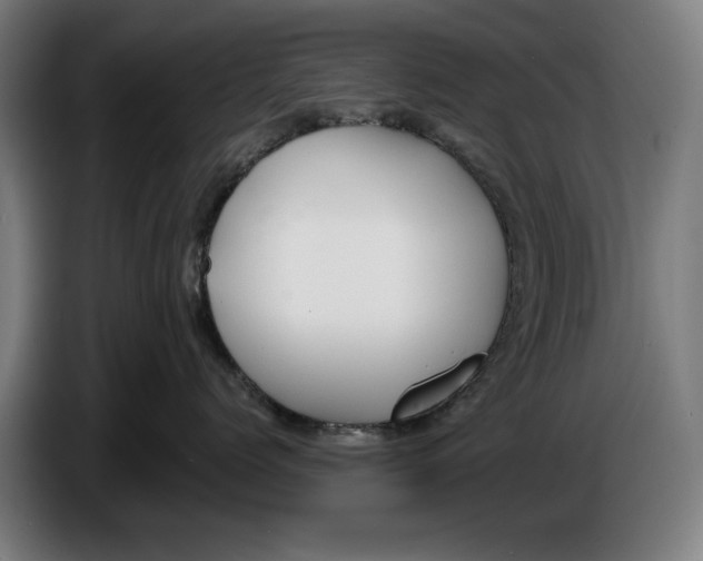X0000086250768200704191842