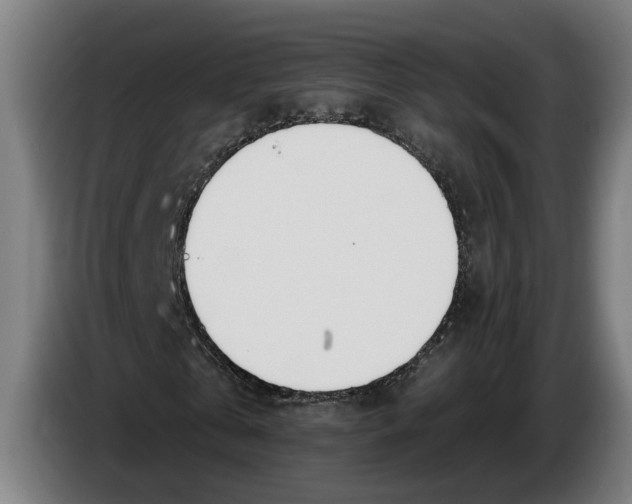 X0000086250769200704191842