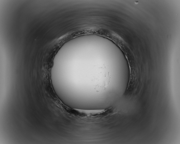 X0000086250773200704191842