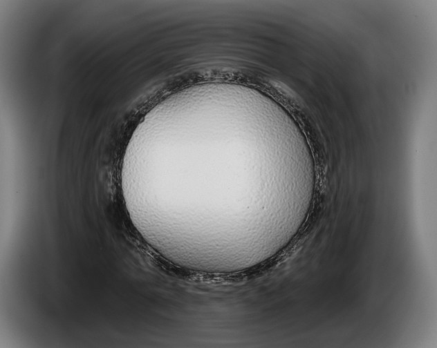 X0000086250774200704191842