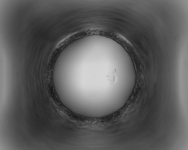 X0000086250775200704191842