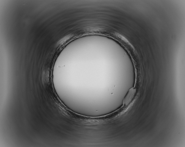 X0000086250777200704191842