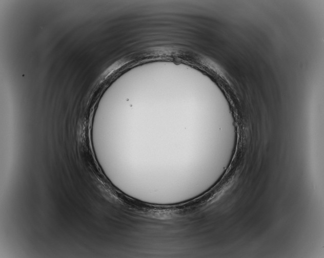 X0000086250778200704191842