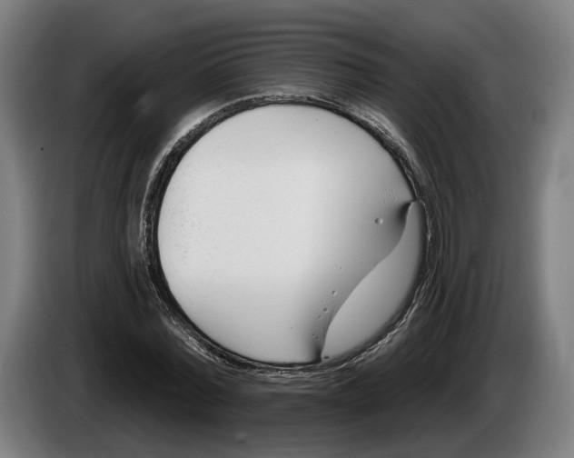 X0000086250780200704191841