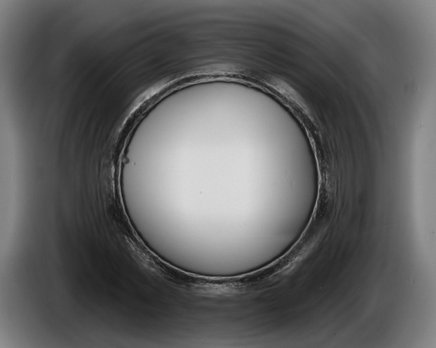 X0000086250781200704191841
