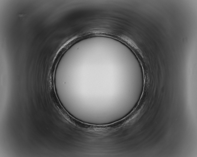 X0000086250782200704191841