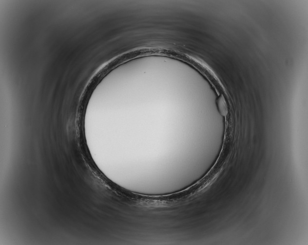 X0000086250783200704191841
