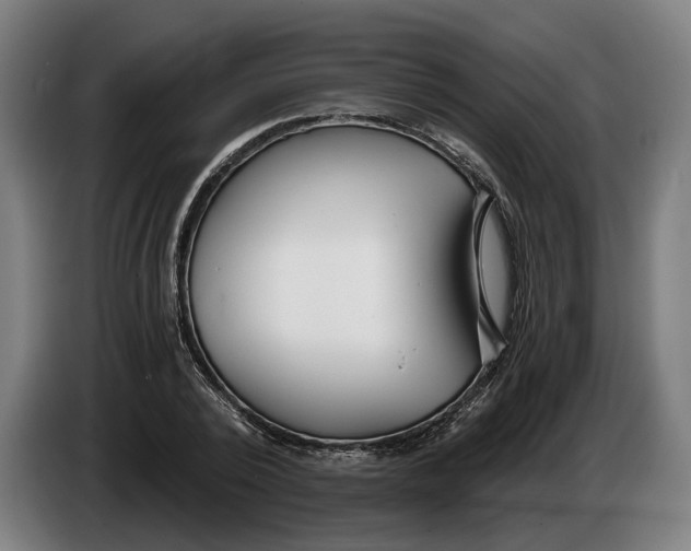X0000086250784200704191841