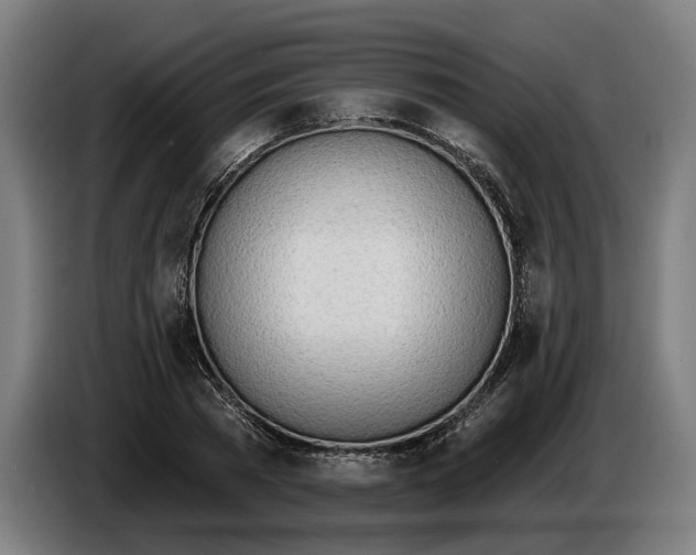 X0000086250785200704191841