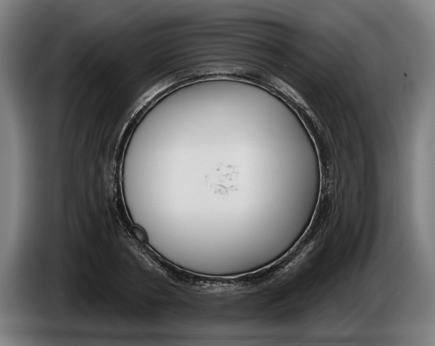 X0000086250786200704191841