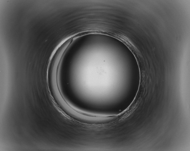X0000086250788200704191841