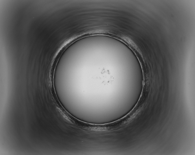 X0000086250789200704191841