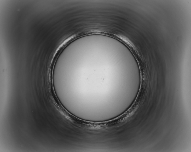 X0000086250790200704191841