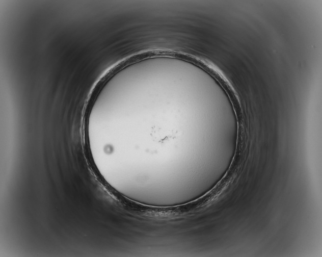 X0000086250791200704191841