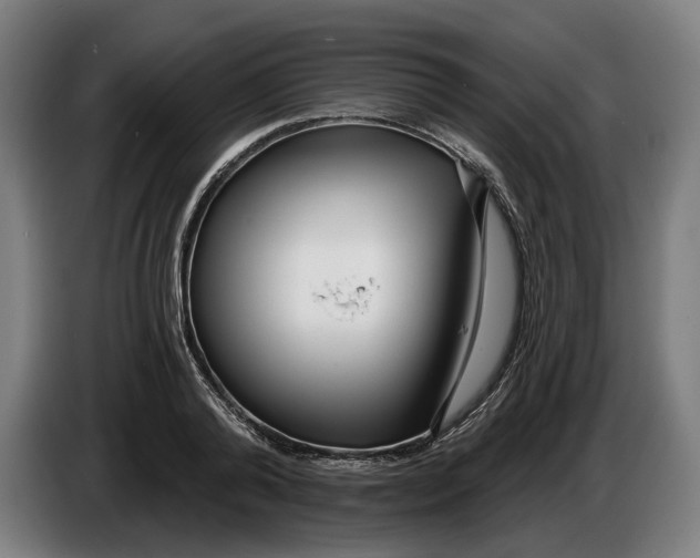 X0000086250792200704191841