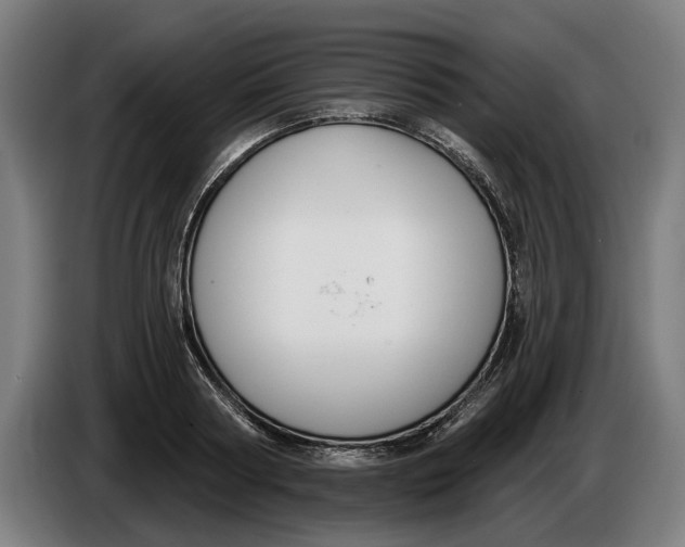 X0000086250794200704191841