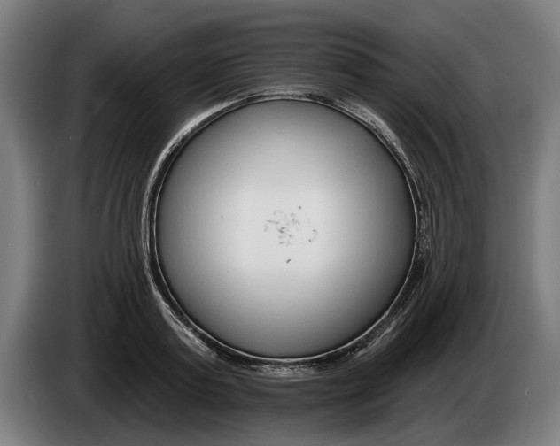 X0000086250795200704191841