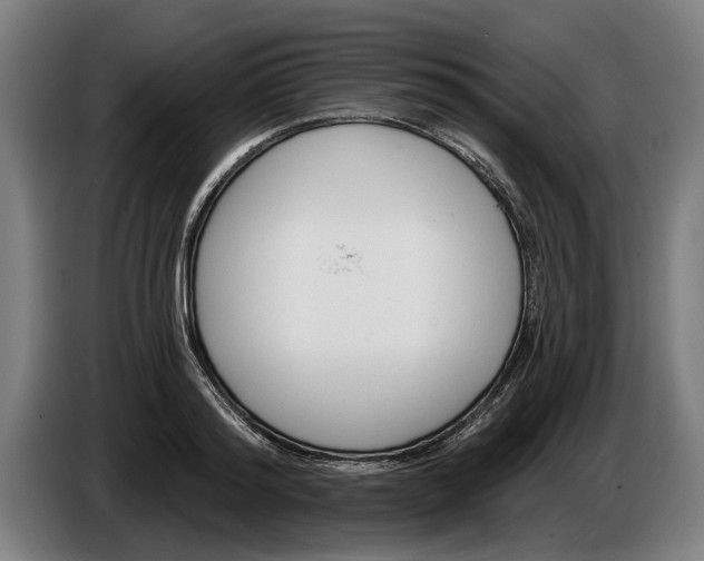 X0000086250796200704191841