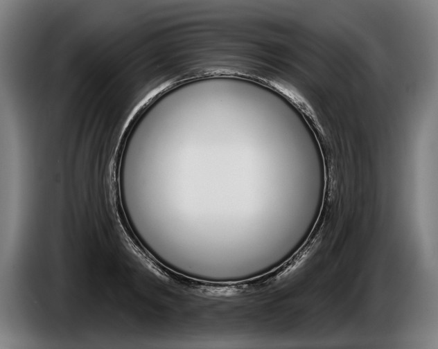 X0000086250798200704191841
