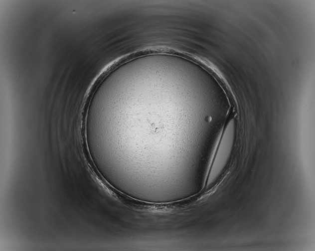 X0000086250799200704191841