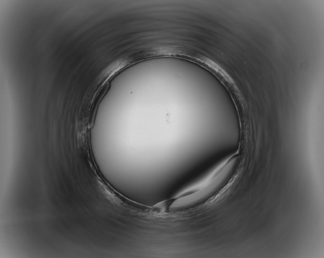 X0000086250801200704191841
