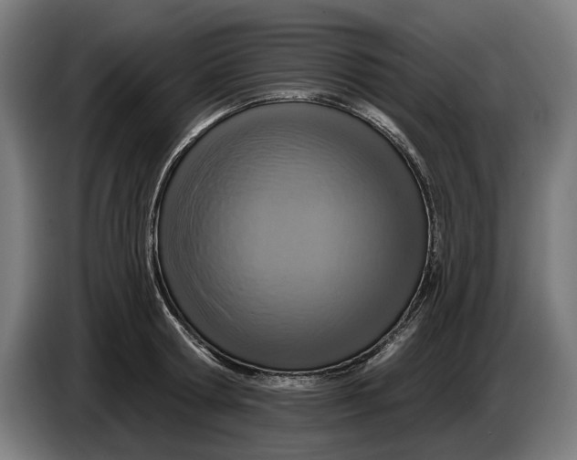 X0000086250802200704191841