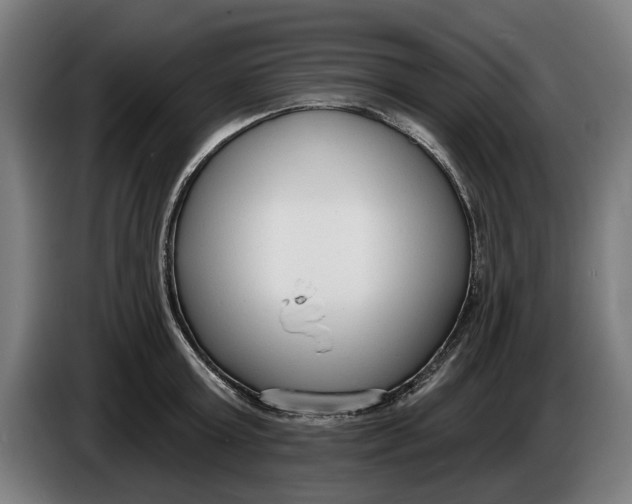 X0000086250803200704191841