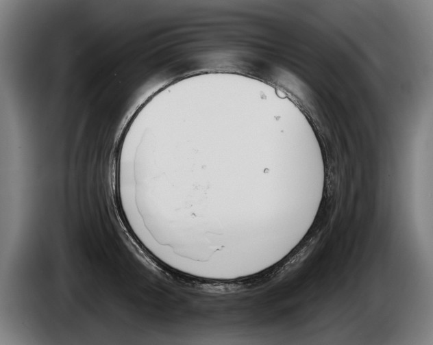 X0000086250804200704191841