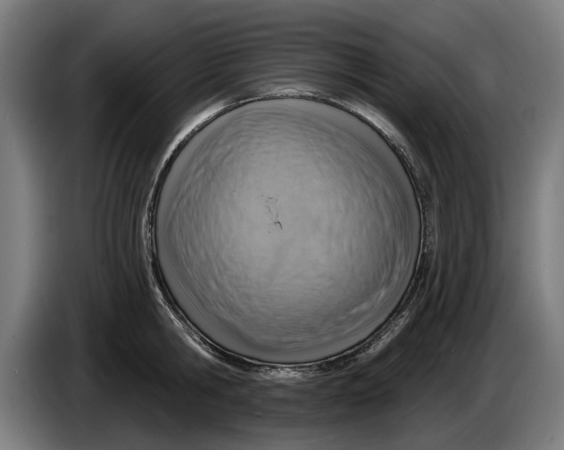 X0000086250806200704191841