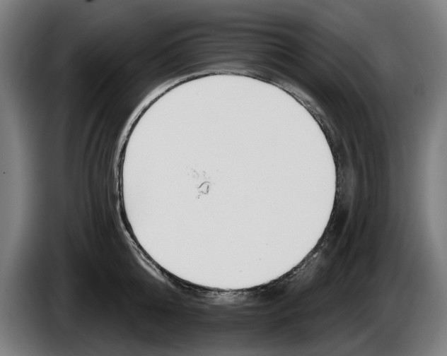 X0000086250808200704191841