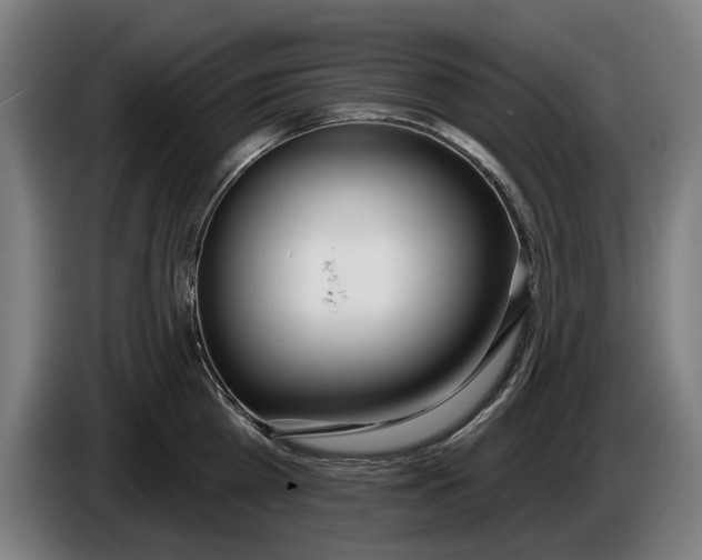 X0000086250809200704191841