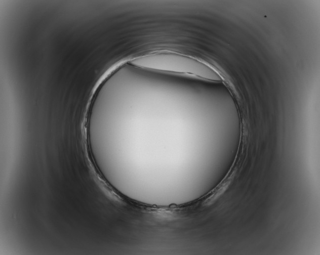X0000086250814200704191841