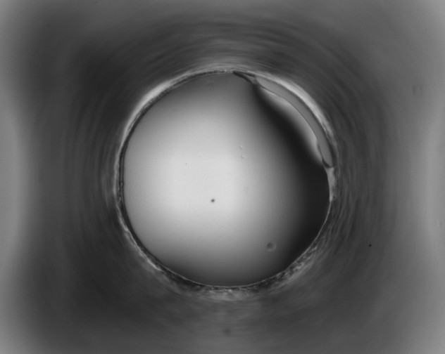 X0000086250815200704191841