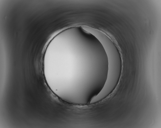 X0000086250816200704191841