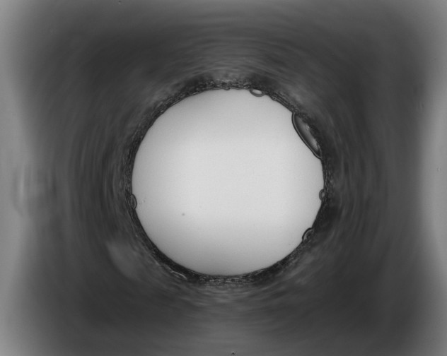 X0000086250817200704191840