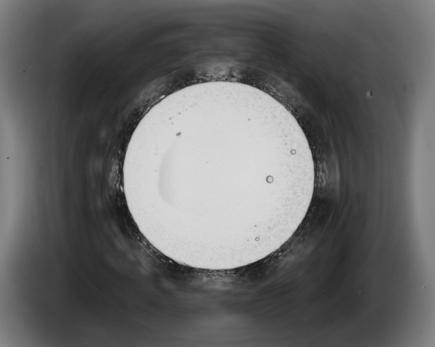 X0000086250820200704191840