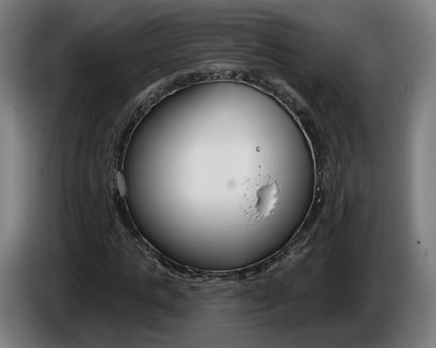 X0000086250821200704191840