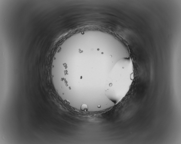 X0000086250824200704191840