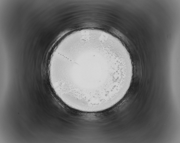 X0000086250828200704191840