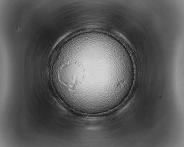 X0000086250829200704191840