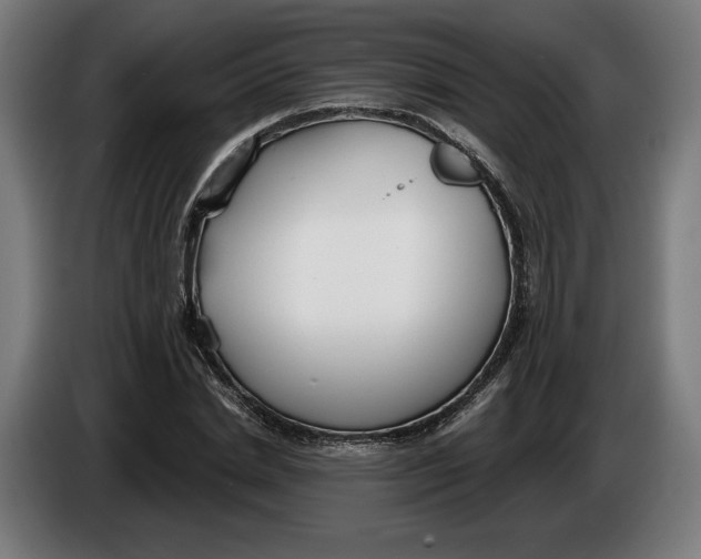 X0000086250830200704191841